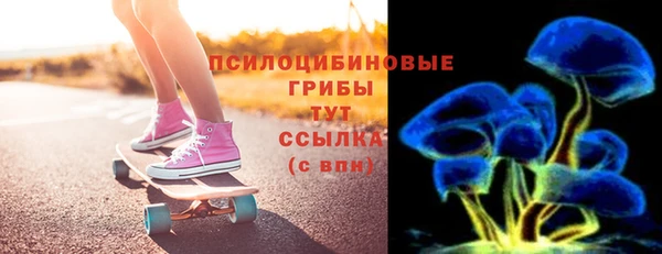 прущие грибы Заволжск