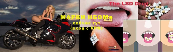 прущие грибы Заволжск