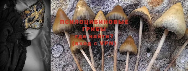 прущие грибы Заволжск