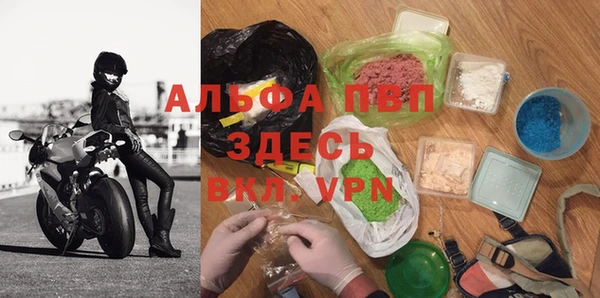 прущие грибы Заволжск
