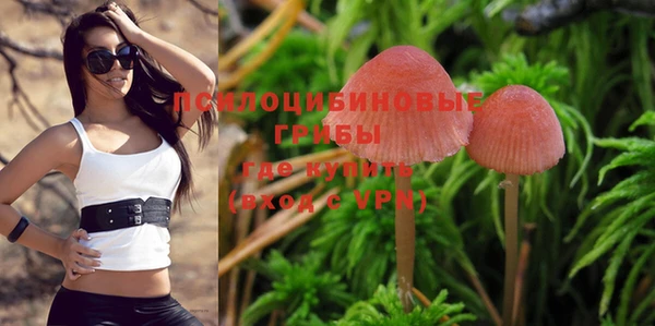 хмурый Зерноград