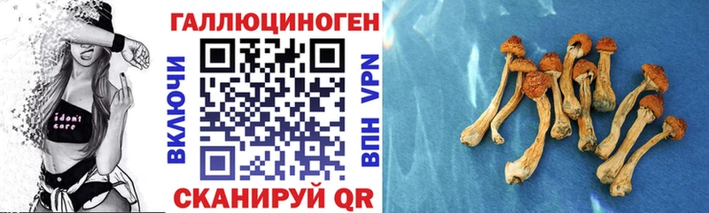 Галлюциногенные грибы мицелий Купить закладки Лыткарино