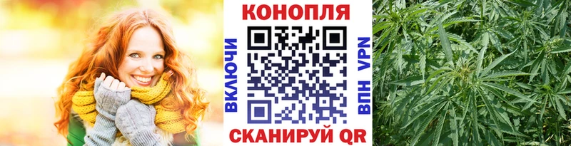 Марихуана планчик  Купить где  Лыткарино 